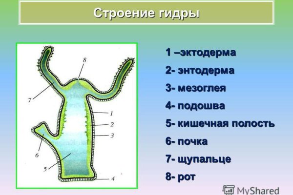 Кракен дарк