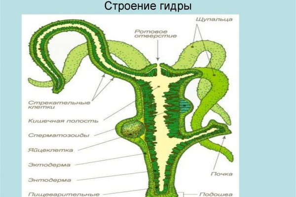 Кракен онион ссылки